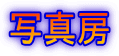 ʐ^[